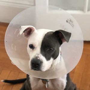 Meet your Posher, Katherine